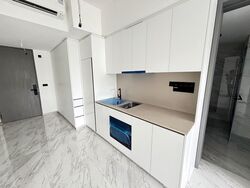 The Landmark (D3), Condominium #510099831